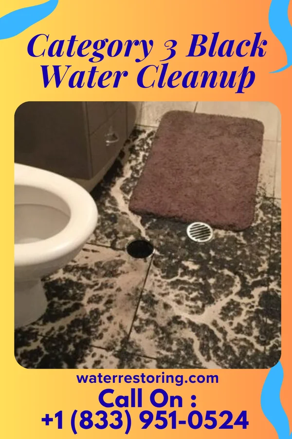 Category 3 Black Water Cleanup in Latham, IL