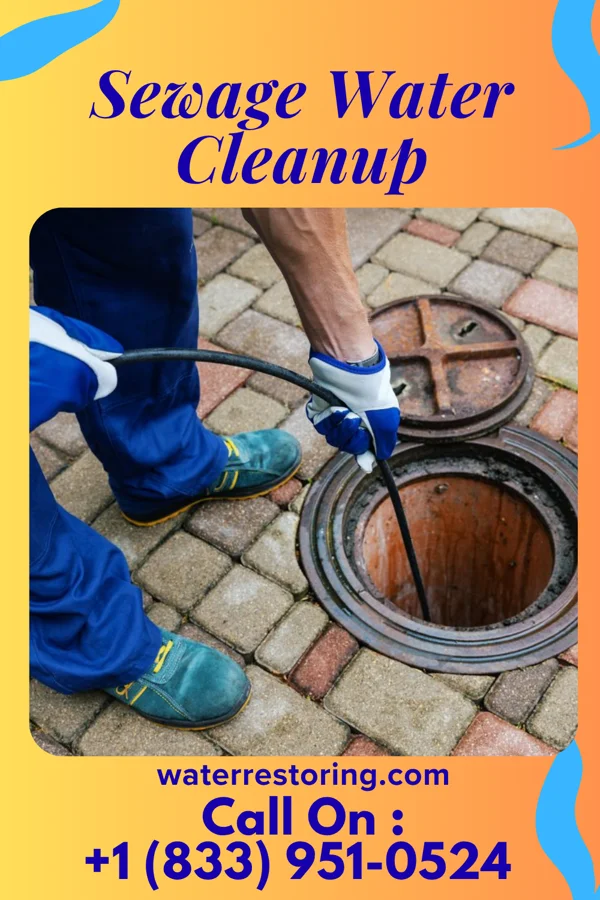 Sewage Water Cleanup in Latham, IL
