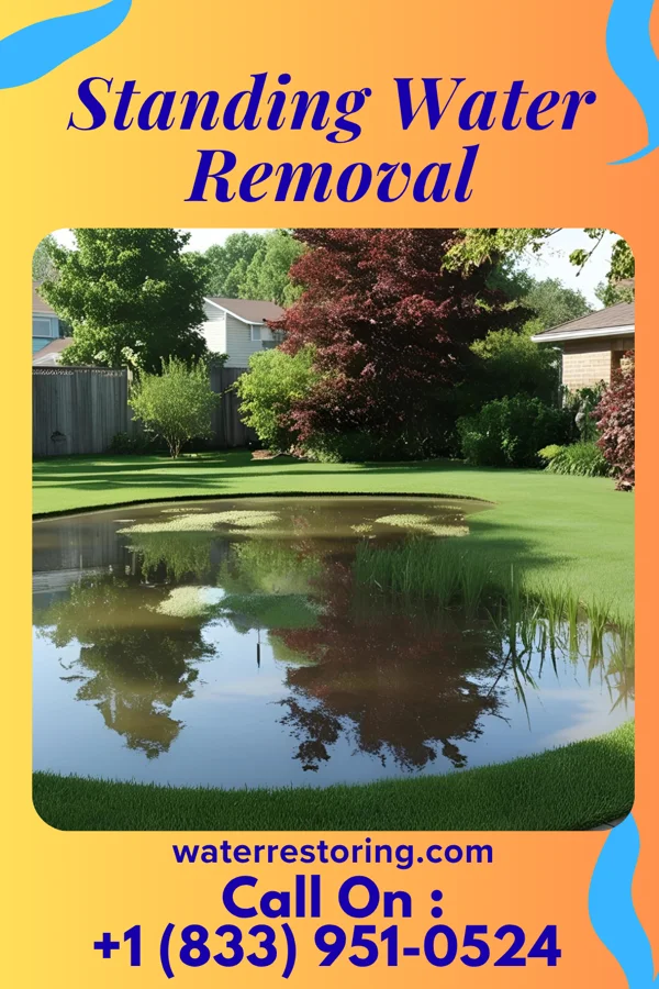 Standing Water Removal in Latham, IL